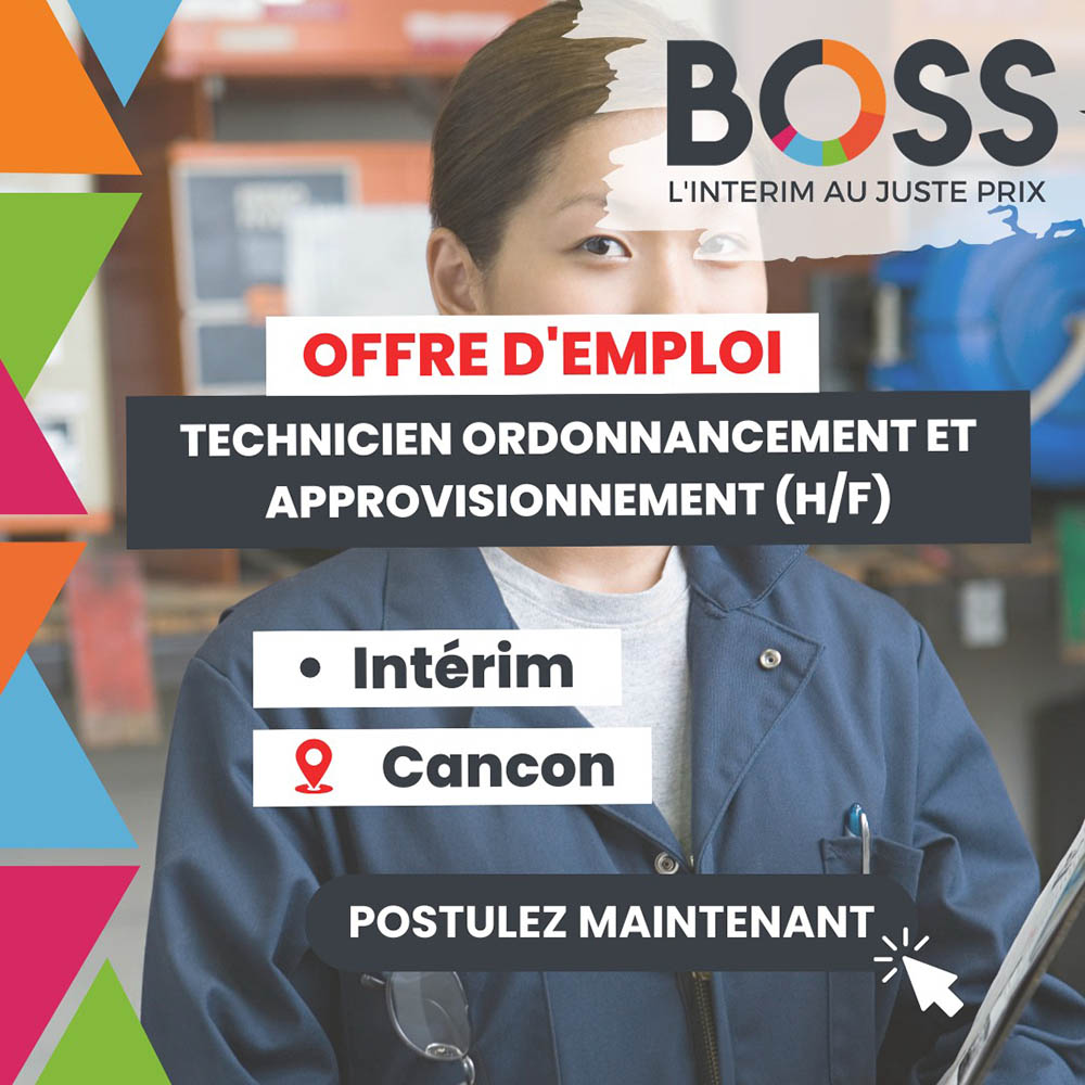 Candidats BOSS INTERIM L intérim au juste prix